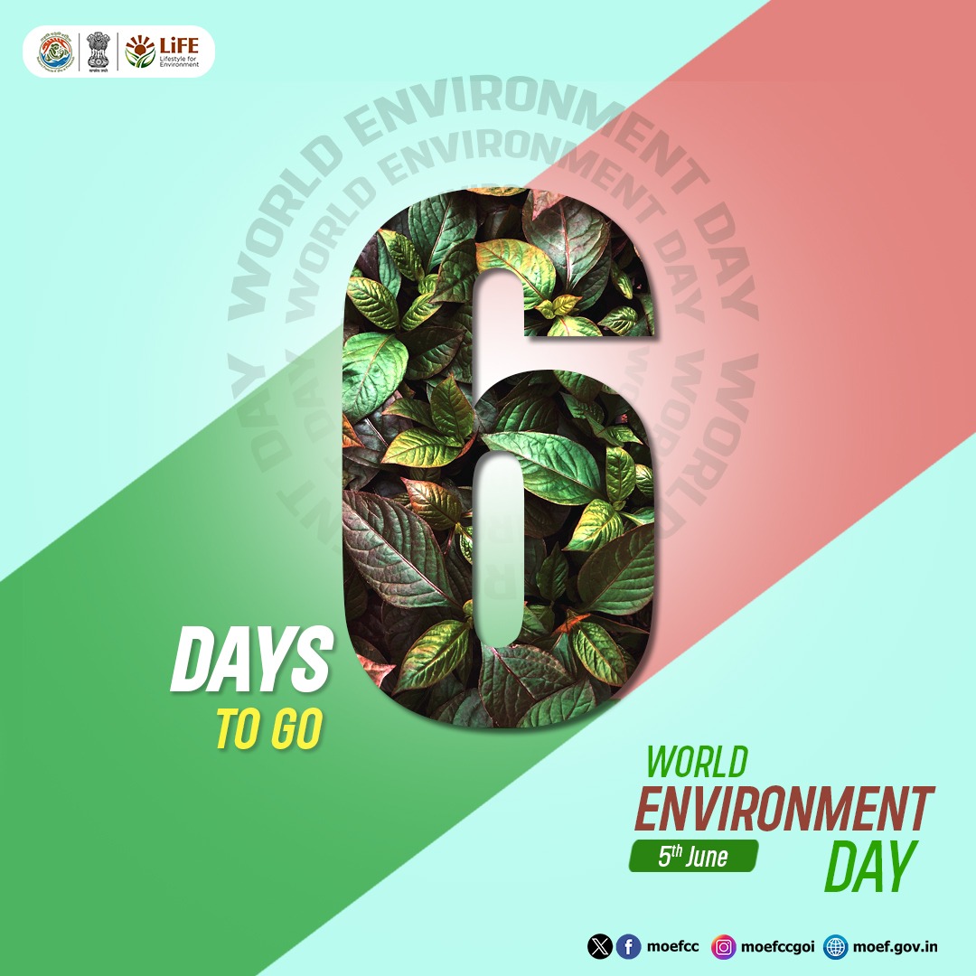 National Level Expo on eco alternatives.