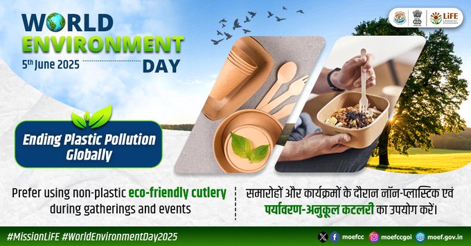 Prefering eco-friendly cutlery.