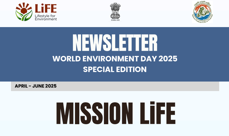 Mission LiFE Newsletter Thumbnail
