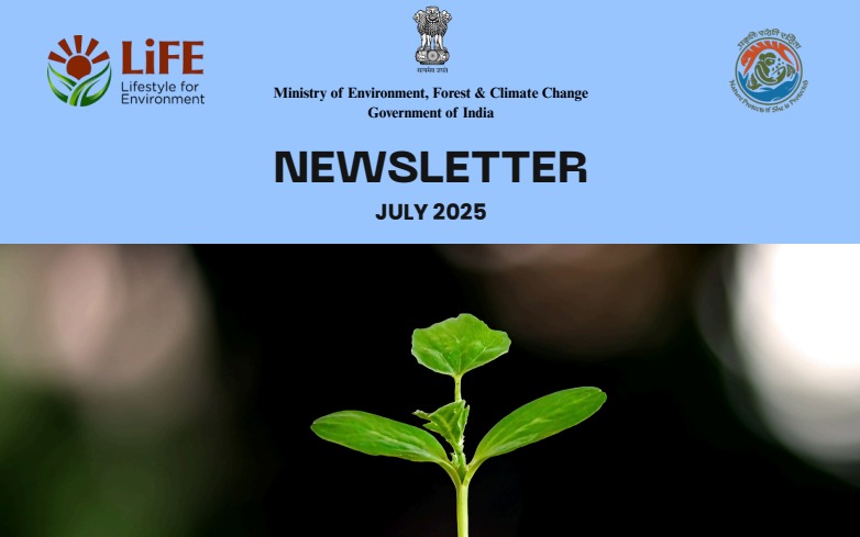 Mission LiFE Newsletter Thumbnail